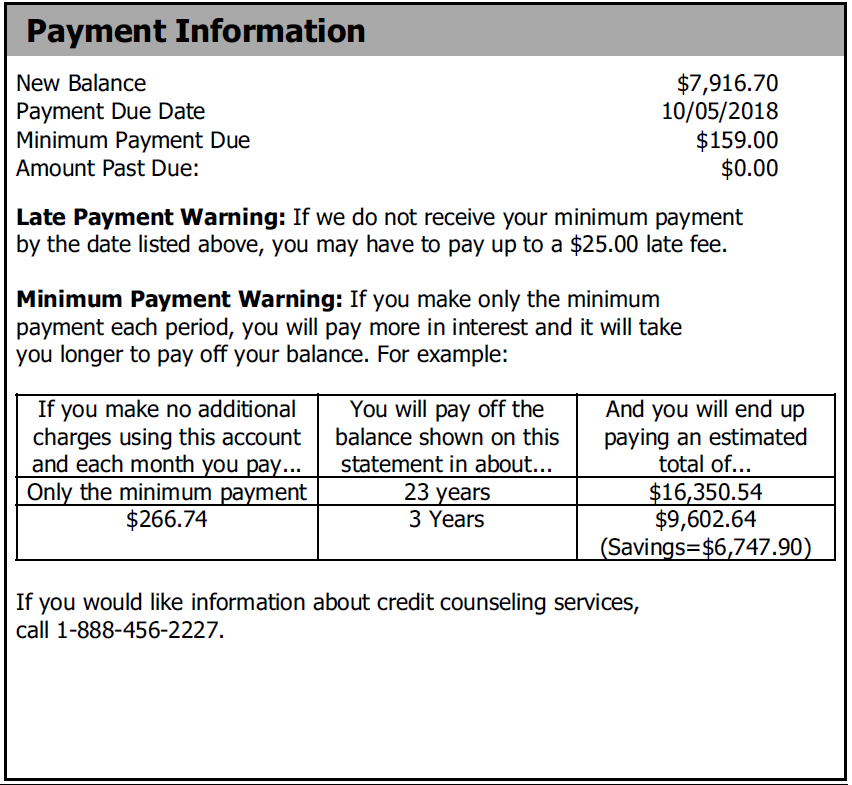 Image of Payment Information Section on Illuminati Private Bank credit card statement