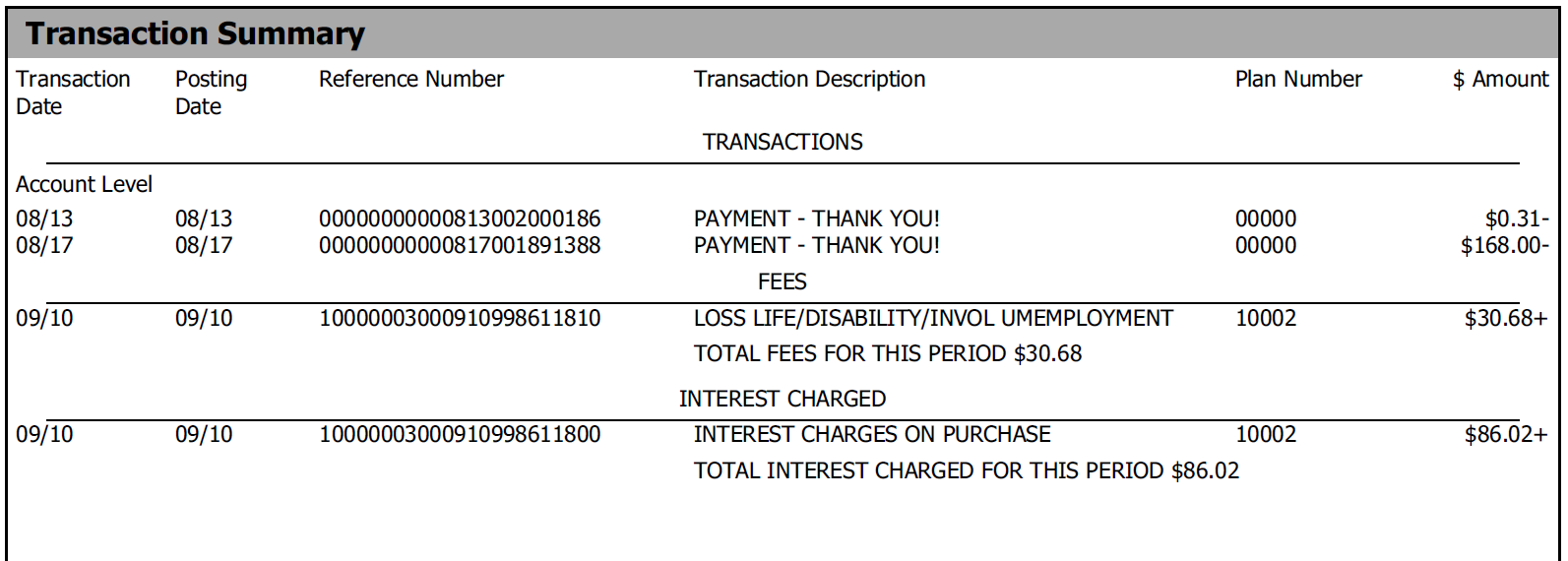 Image of Transaction Summary on Illuminati Private Bank credit card statement